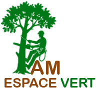 elagage-am-espace-vert